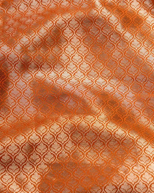 Coral Meenakari Jaal Pure Banarasi Silk Saree