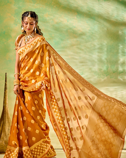 Golden Tissue Saree with Trellis Butidar Artistry Weaves