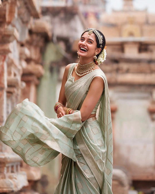 Pastel Green Pure Banarasi Saree with Checkered Weaves