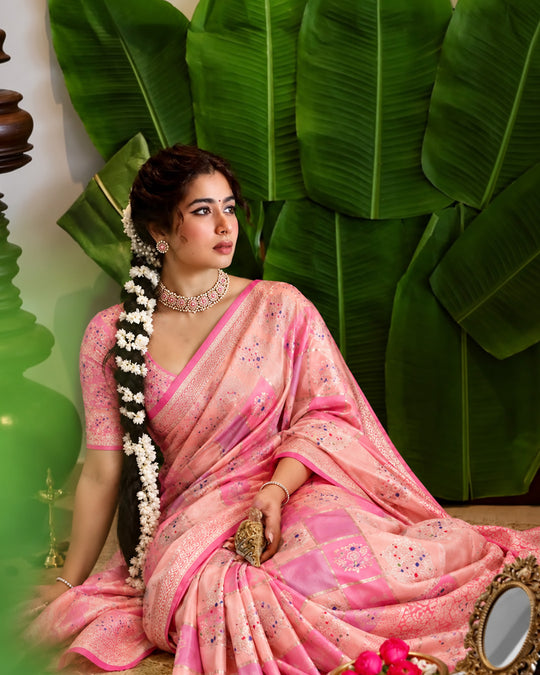 Pastel Rangkat Pure Banarasi Saree with Checkered Meenakari Floral Weaves