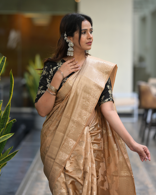 Brown Banarasi Handloom Saree With Handwoven Floral Jaal