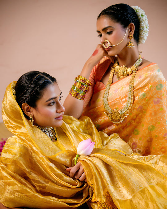 Sunshade Orange Pure Khaddi Georgette Saree in Meenakari With Water Zari