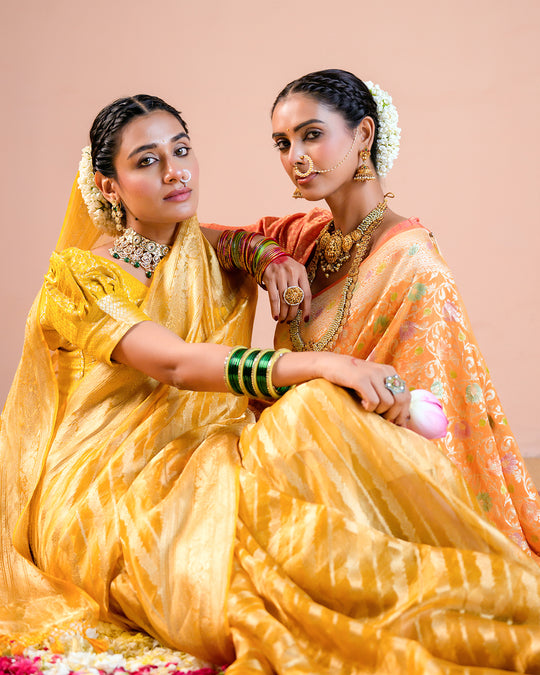 Sunshade Orange Pure Khaddi Georgette Saree in Meenakari With Water Zari