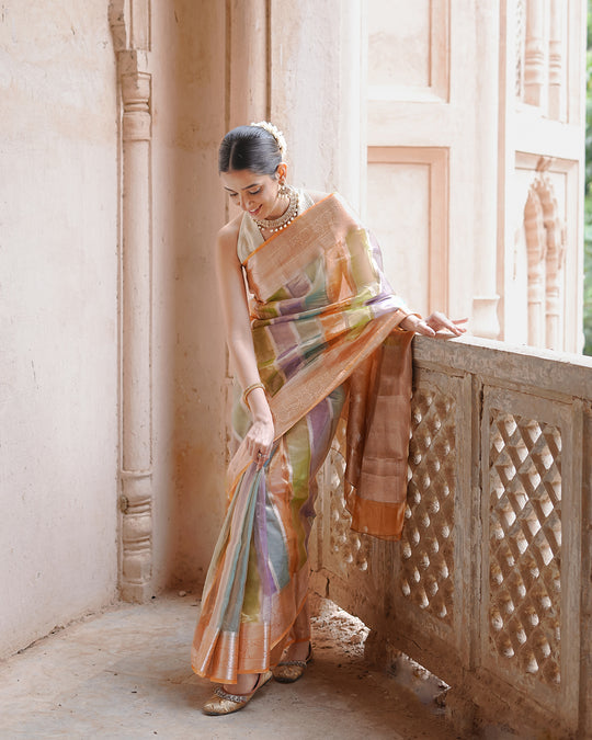 Rangkat Noor – Iridescent Tissue Silk Saree