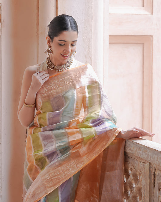 Rangkat Noor – Iridescent Tissue Silk Saree