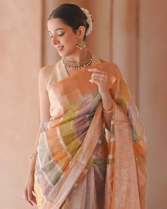 Rangkat Noor – Iridescent Tissue Silk Saree